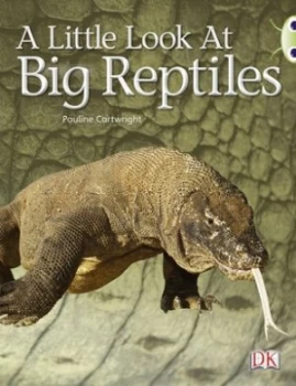 Image of A Little Look at Big Reptiles by Pauline Cartwright Paperback