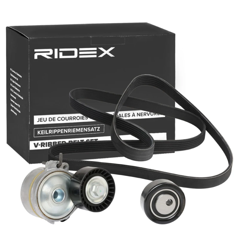 Image of RIDEX 542R0131 V-ribbed belt set V-Ribbed Belt Set (542)
