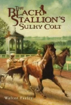 Image of black stallions sulky colt