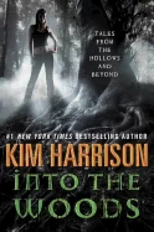 Image of into the woods tales from the hollows and beyond
