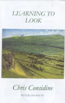 Image of Learning to Look by Chris Considine Paperback