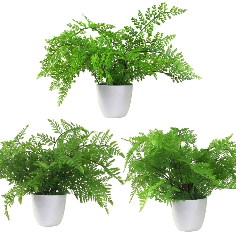 Image of Leaf Design Pack of 3 x 30cm Artificial Ferns Southern Wood Lady and Royal (Potted)
