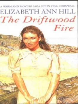 Image of The Driftwood Fire by Elizabeth Ann Hill Book