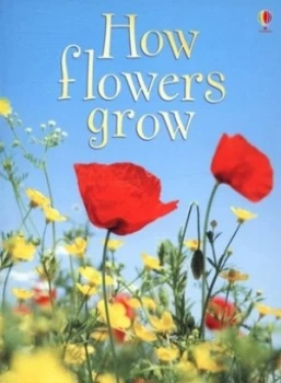 Image of How Flowers Grow by Emma Helbrough and Maggie Silver and Uwe Mayer and Margaret Rostron and Alison Kelly Hardback