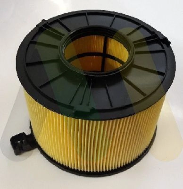 Image of MOTAQUIP Air filter MOTAQUIP LVFA1607
