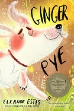Image of ginger pye