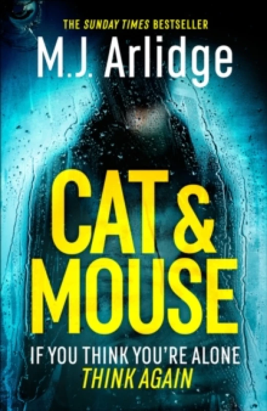 Image of cat and mouse 9781409188520