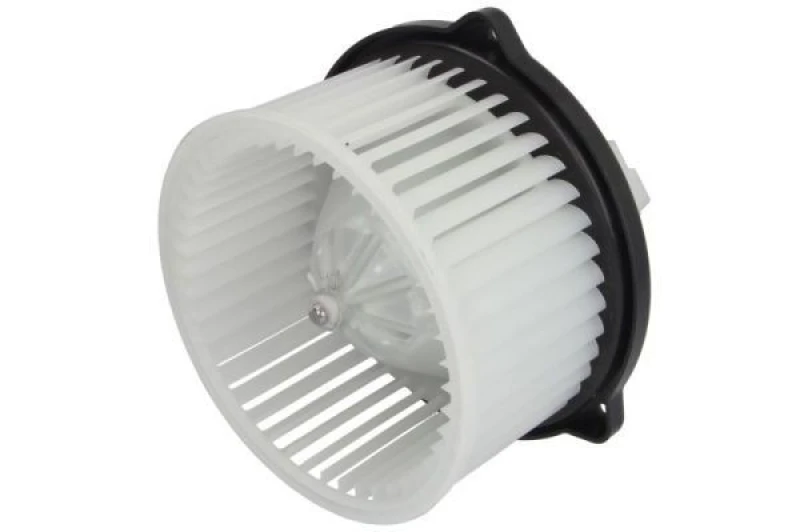 Image of THERMOTEC Blower motor THERMOTEC DDV005TT