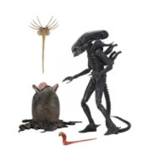 Image of NECA Alien - 7 Scale Action Figure - Ultimate 40th Anniversary Big Chap
