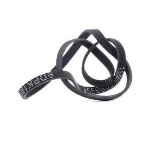 Image of RIDEX V-ribbed belt 305P0209 Serpentine belt,Auxiliary belt VOLVO,PORSCHE,V70 II (285),V70 I (875, 876),S80 I (184),XC70 Cross Country (295)