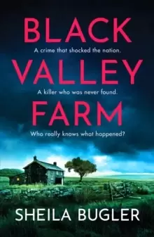 Image of Black Valley Farm : An absolutely unputdownable crime thriller