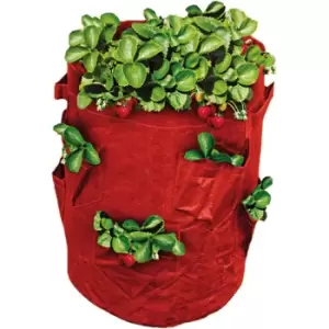 Image of St Helens Strawberry Grow Bag 43L - Garden & Outdoor