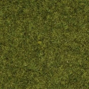 Image of NOCH 08312 Grass flock Meadow Meadow