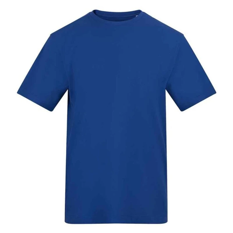 Image of AWDis Mens T-Shirt in Blue Size: Large Blue Male L