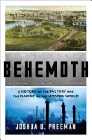 Image of behemoth a history of the factory and the making of the modern world