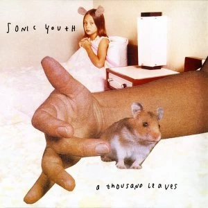 Image of Sonic Youth - A Thousand Leaves Vinyl