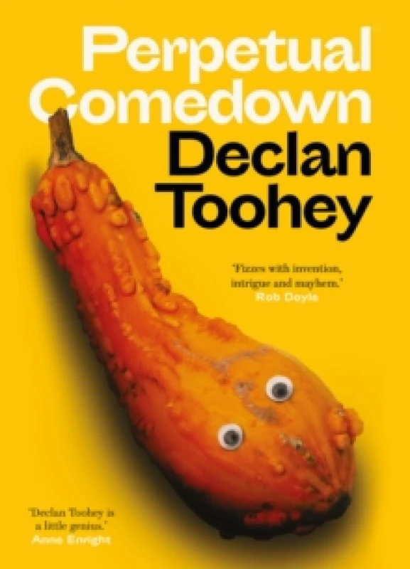Image of Perpetual Comedown Paperback / softback