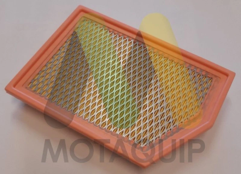 Image of MOTAQUIP Air filter MOTAQUIP LVFA1593