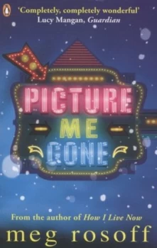 Image of Picture Me Gone by Meg Rosoff Book