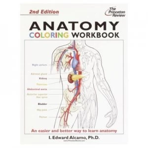 Image of Anatomy Coloring Workbook by I. Edward Alcamo and John Bergdahl Paperback