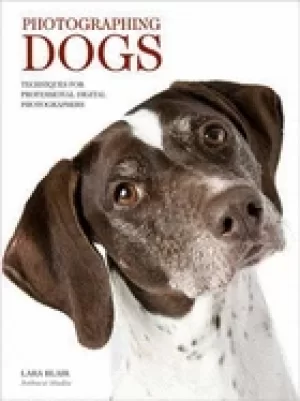 Image of photographing dogs techniques for professional digital photographers
