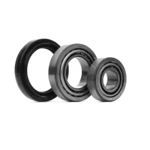 Image of SKF Wheel bearing kit MERCEDES-BENZ VKBA 596 4096587,4096591,5170344030 517034A000,8942429130,0009816305,0019802902,0059817705,0069815005,0069815105