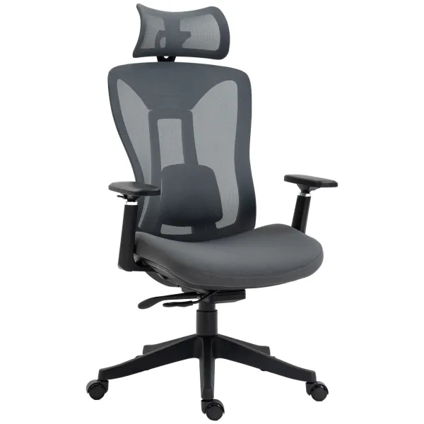 image of Executive Office Chair with Mesh Back Lumbar Support 3D Armrest