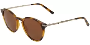 image of Ted Baker Sunglasses TB1632 100