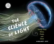 Image of The Science of Light : Things that Shine, Flash, and Glow