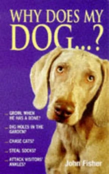 Image of Why Does My Dog by John Fisher Paperback