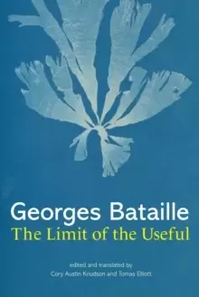 Image of The Limit of the Useful