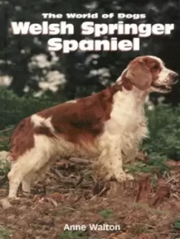 Image of Welsh springer spaniel by Anne Walton