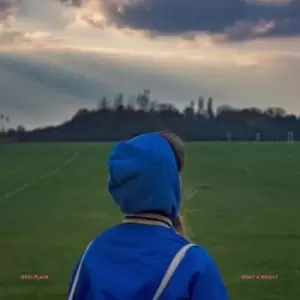Image of What a Boost by Rozi Plain CD Album