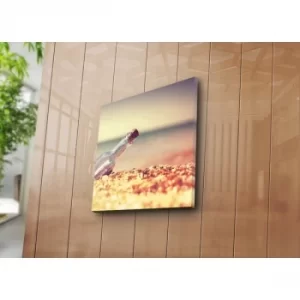 Image of 4545K-51 Multicolor Decorative Canvas Painting