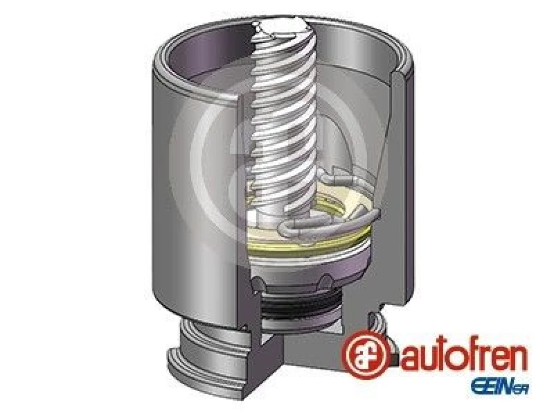 Image of AUTOFREN SEINSA Brake caliper piston AUTOFREN SEINSA D025222K