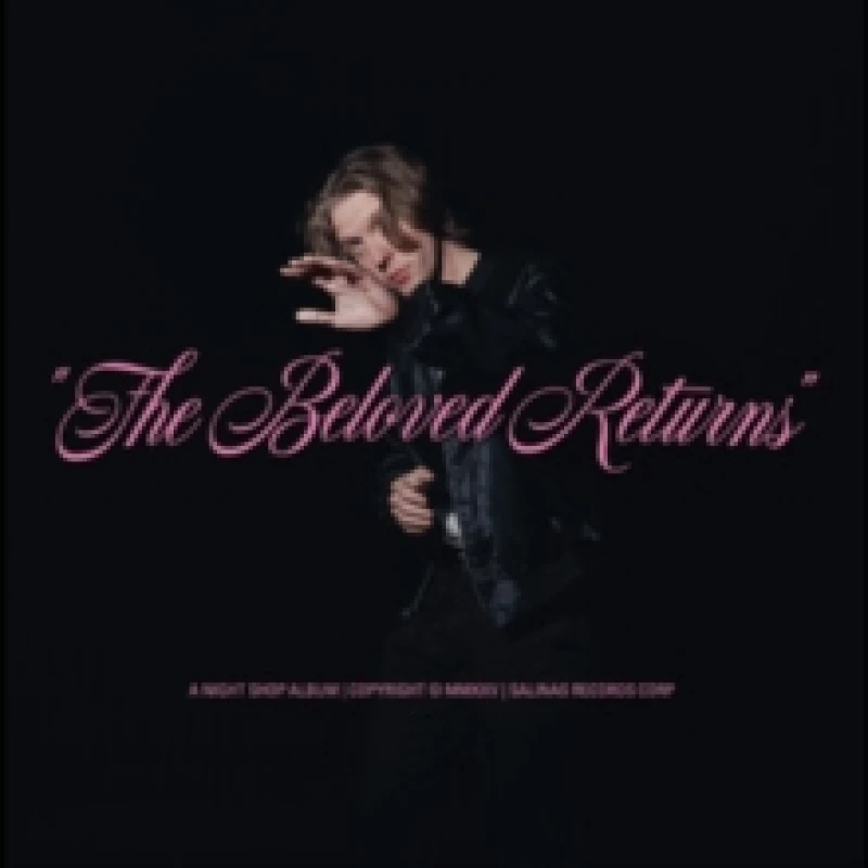 Image of The Beloved Returns Vinyl