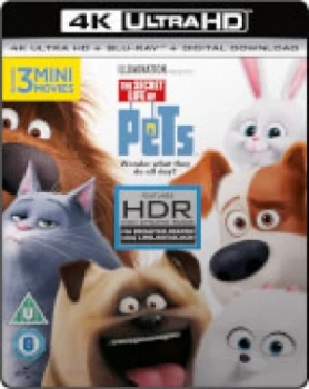 The Secret Life Of Pets - 4K Ultra HD