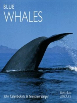 Image of Blue Whales by John Calambokidis and Gretchen Steiger Paperback