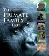 Image of primate family tree the amazing diversity of our closest relatives