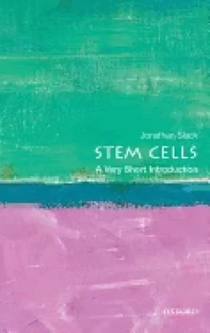 Image of stem cells a very short introduction
