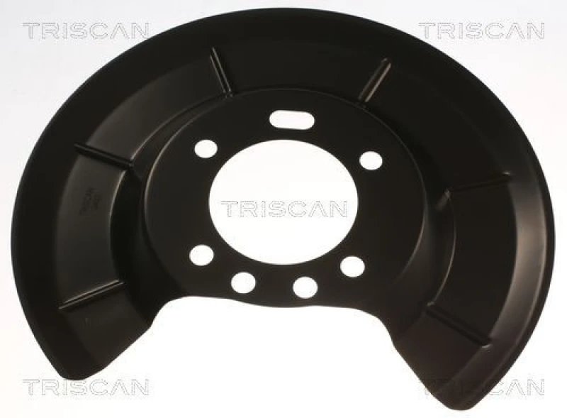 Image of TRISCAN Brake disc backing plate TRISCAN 8125 16218