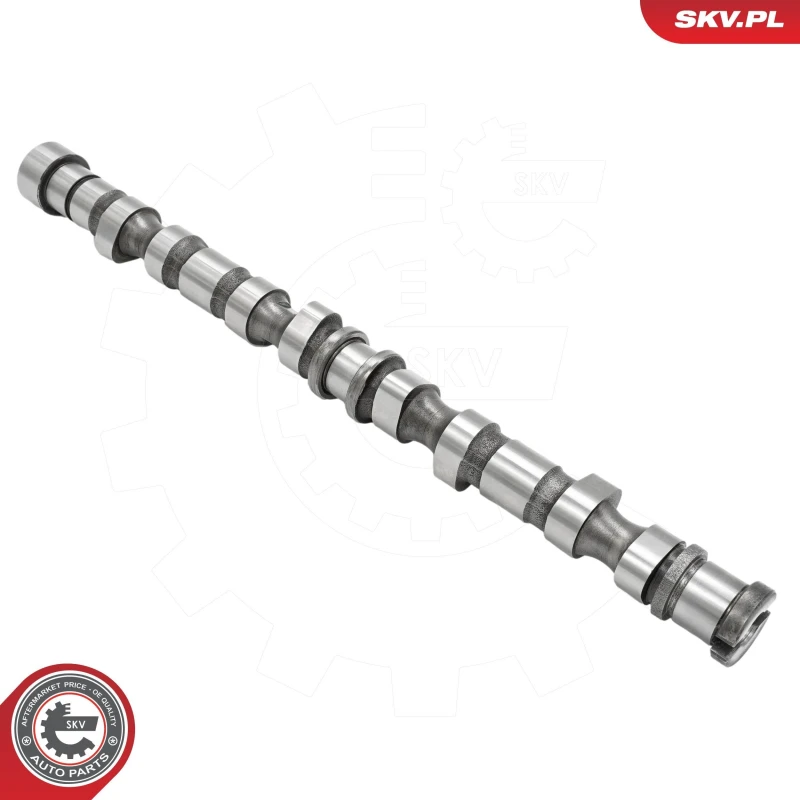 Image of ESEN SKV Camshaft ESEN SKV 80SKV047