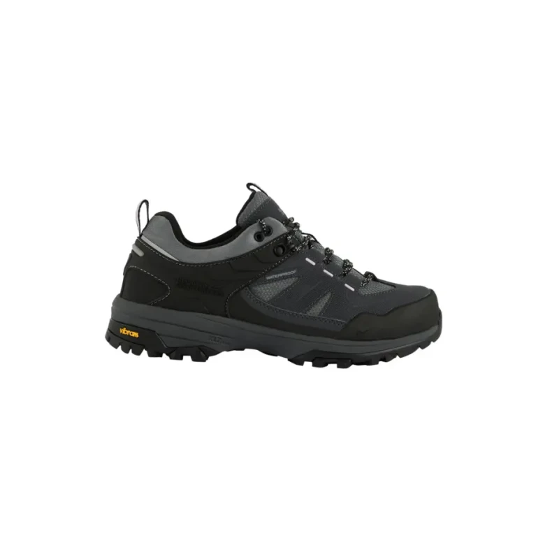 Image of Womens hiking shoes Regatta Regen Low Gris Female 38