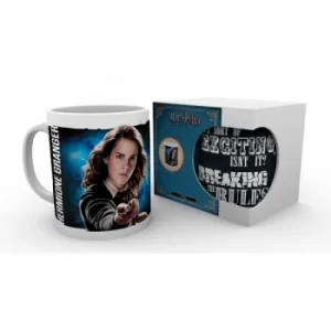 Image of Harry Potter Dynamic Hermione Mug