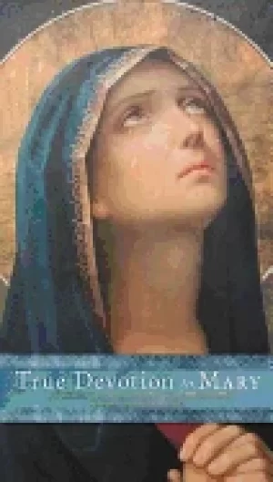 Image of true devotion to mary a consecration to jesus through the blessed mother