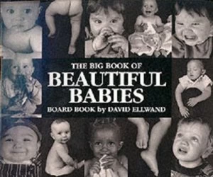 Image of David Ellwands Big Book of Beautiful Babies by David Ellwand Book