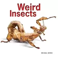 Image of weird insects
