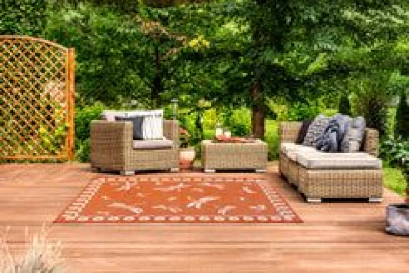 Image of Rugstyle SUMMER BREEZE DRAGONFLY Terracotta unisex 100x150cm