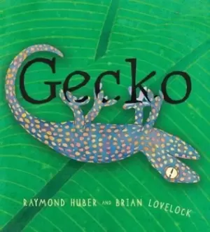 Image of Gecko by Raymond Huber