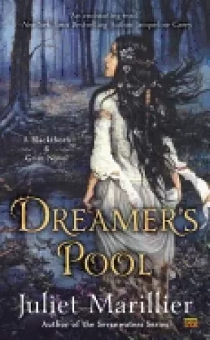 Image of dreamers pool